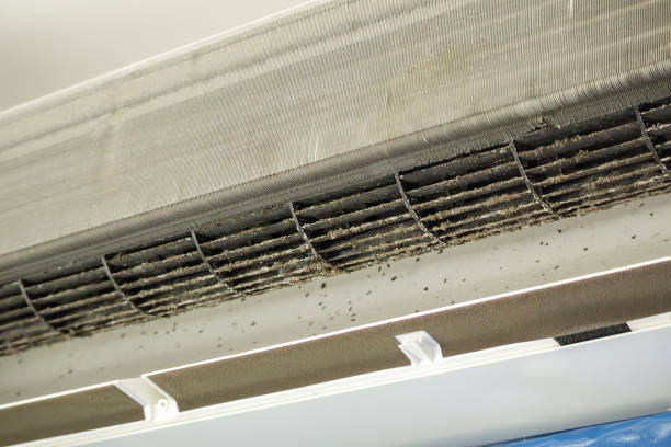 Best Air Duct Cleaning Company Near Me  in Pearl Beach, MI